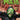 Mask I Pledge Allegiance to the Mask #1 (of 4) - State of Comics