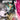 Mighty Morphin #4 Cvr A Main - State of Comics
