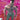 Wolverine #13 Jimenez Pride Month Var Gala (06/23/2021) - State of Comics