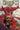 IDW Publishing Canto III Lionhearted #1 comic book cover art by Drew Zucker, featuring detailed illustration of the hero lion character.