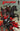 Spawn Scorched #1 cover F comic book by Silvestri, back issues from Image Comics featuring detailed artwork and vibrant colors.