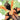 LCSD 2021 Joy Operations #1 (of 5) (11/24/2021) - State of Comics