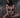 Vampirella Strikes #3 Cvr A Parrillo (07/13/2022) - State of Comics