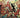 Maskerade #1 (Of 4) Cvr A Sprengelmeyer - State of Comics