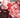 Bloodshot Unleashed #1 Cvr B Rifkin (Mr) - State of Comics