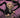 North Valley Grimoire #2 (Of 6) Cvr A Rockwell (Mr) - Stateofcomics.com