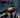 DC Comics Batman comic book, Absolute Batman #5 Fifth Printing, featuring Batman artwork on cover, collectible comic book image.