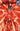 Cover of DC Comics Absolute Superman #4 third printing comic book featuring Superman in a heroic pose.