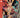 Image Firsts Witchblade (2024) #1