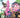 Stitch #8 Cvr D George Kambadais Var