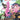 Stitch #8 Cvr D George Kambadais Var