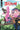 Stitch #8 Cvr D George Kambadais Var