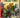 Invincible Universe Capes #6 Cvr D Inc 1:25 Jahnoy Lindsay Var