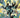 Comic book cover of Geiger #23 from Image Comics, featuring artwork by Gary Frank and Brad Anderson.