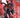 Pre-order comic book Absolute Catwoman #1 Cover B by David Nakayama, featuring Catwoman in dynamic pose on card stock variant cover.