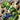 Savage Dragon #281 Cvr C Bryan Hitch Var (Mr)