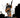 Deathstroke The Terminator #4 Cvr C David Aja Card Stock Var