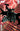 Pre-order DC Comics Absolute Batman #21 Cover D by Doug Mahnke, featuring dynamic Batman artwork on card stock variant cover.