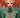 Pre-order DC Comics Emperor Aquaman #18 Cvr C Nathan Szerdy card stock variant comic book cover showing Aquaman in vibrant colors.