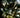 Green Lantern #36 comic book cover A by Eddy Barrows from DC Comics, featuring Green Lantern in a dynamic action pose.