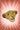 Lion King #6 Cvr E Inc 1:10 Cartoon Head Virgin Var
