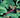 Pre-order comic book Gi Joe #23 Cover A by Tom Reilly from Image Comics, featuring dynamic action art and vivid colors.