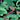 Pre-order comic book Gi Joe #23 Cover A by Tom Reilly from Image Comics, featuring dynamic action art and vivid colors.