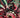 Murder Drones #5 (Of 6) Cvr A Alessio Zonno