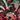 Murder Drones #5 (Of 6) Cvr A Alessio Zonno