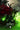 Spawn Origins Collection Book 11 graphic novel by Image Comics featuring detailed cover art and pages from the comic series.