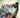 Absolute Catwoman #2 of 6 CVR C Mirka Andolfo Card Stock Var