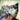 Absolute Catwoman #2 of 6 CVR C Mirka Andolfo Card Stock Var