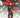 Batwoman #5 CVR D W Scott Forbes Card Stock Var