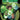 Green Lantern Corps Recharge TP 2026 Edition