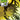 Ben 10 #3 CVR H Premium Mystery Blind Bag Var