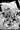 Final Boss #8 CVR D Inc 1:25 Andrew Mangum B&W Virgin Var MR