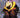 Ghost Pepper #13 CVR E Inc 1:50 Alec Bezzina Var