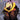 Ghost Pepper #13 CVR E Inc 1:50 Alec Bezzina Var