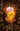 In Your Skin #4 of 4 Cvr A Som MR