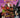 Last Session Collection TP
