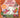 Cozy Autumn TP a Cute & Cozy Coloring Book