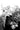 Valhallaw #2 of 5 Cvr C Inc 1:20 Pedro Rm Andreo B&W Var MR