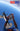 Warbird #1 (Of 4) Cvr Za Sky Dive Var