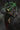Absolute Green Arrow #4 of 6 Cvr E Inc 1:25 Tirso Cons Card Stock Var