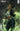 Absolute Green Lantern #17 Cvr D Kyuyong Eom Card Stock Var