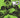 Ben 10 #4 Cvr F Premium Mystery Blind Bag