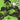 Ben 10 #4 Cvr F Premium Mystery Blind Bag
