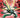 Ben 10 #4 Cvr H Duncan Rouleau Ltd Virgin Var