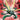 Ben 10 #4 Cvr H Duncan Rouleau Ltd Virgin Var