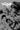Do a Powerbomb Black and White #2 of 3 Cvr B Daniel Warren Johnson Orangutan Var